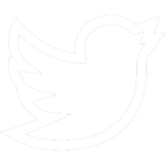 Icône Twitter